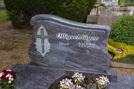 Weiler in der Ebene
